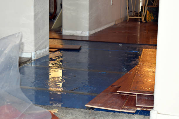 Professional Water Damage Restoration technician working in Newton, MS